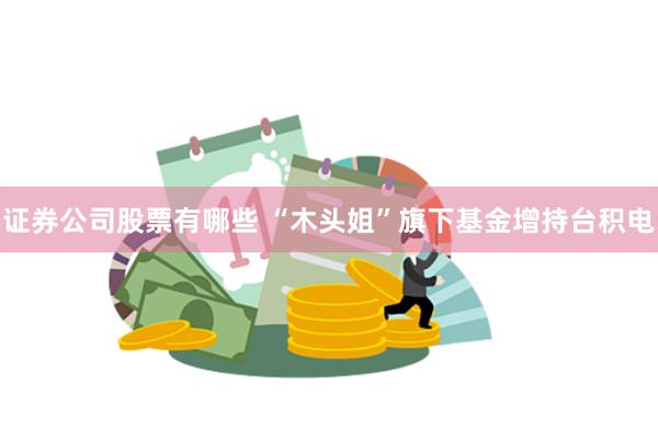 证券公司股票有哪些 “木头姐”旗下基金增持台积电