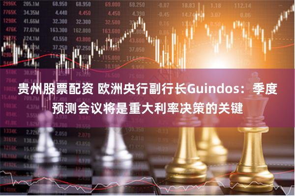 贵州股票配资 欧洲央行副行长Guindos：季度预测会议将是重大利率决策的关键