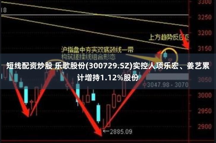 短线配资炒股 乐歌股份(300729.SZ)实控人项乐宏、姜艺累计增持1.12%股份