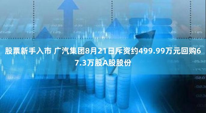 股票新手入市 广汽集团8月21日斥资约499.99万元回购67.3万股A股股份