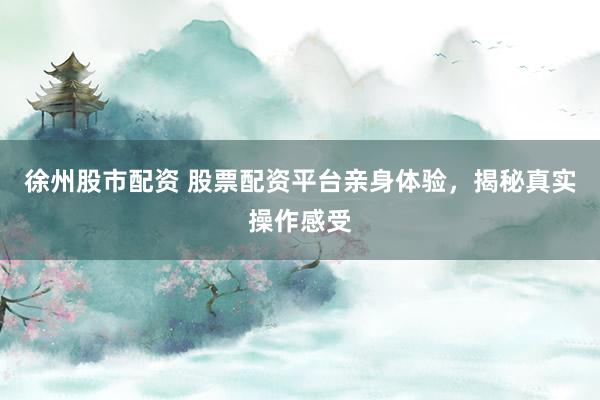 徐州股市配资 股票配资平台亲身体验，揭秘真实操作感受